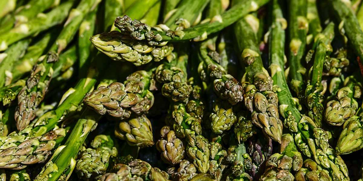 Asparagi verdi, in Spagna prevista una crescita del 25%